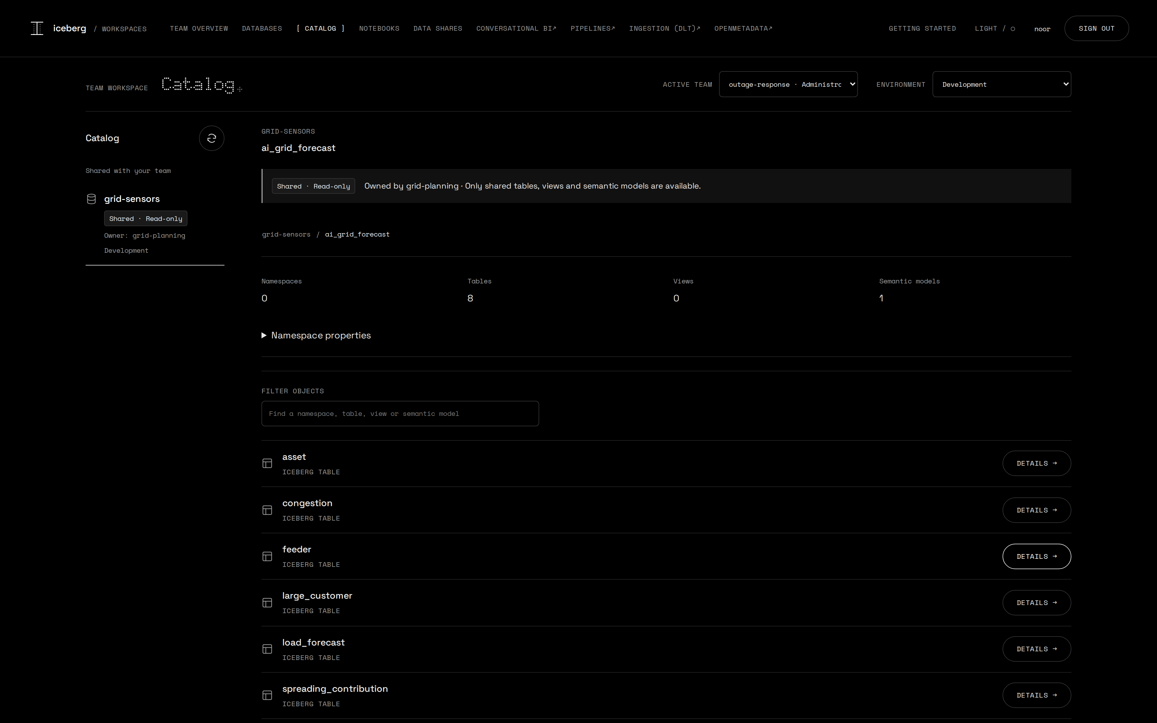 noor's catalog of the shared grid-sensors database, marked shared and read-only: eight tables and one semantic model, owner named