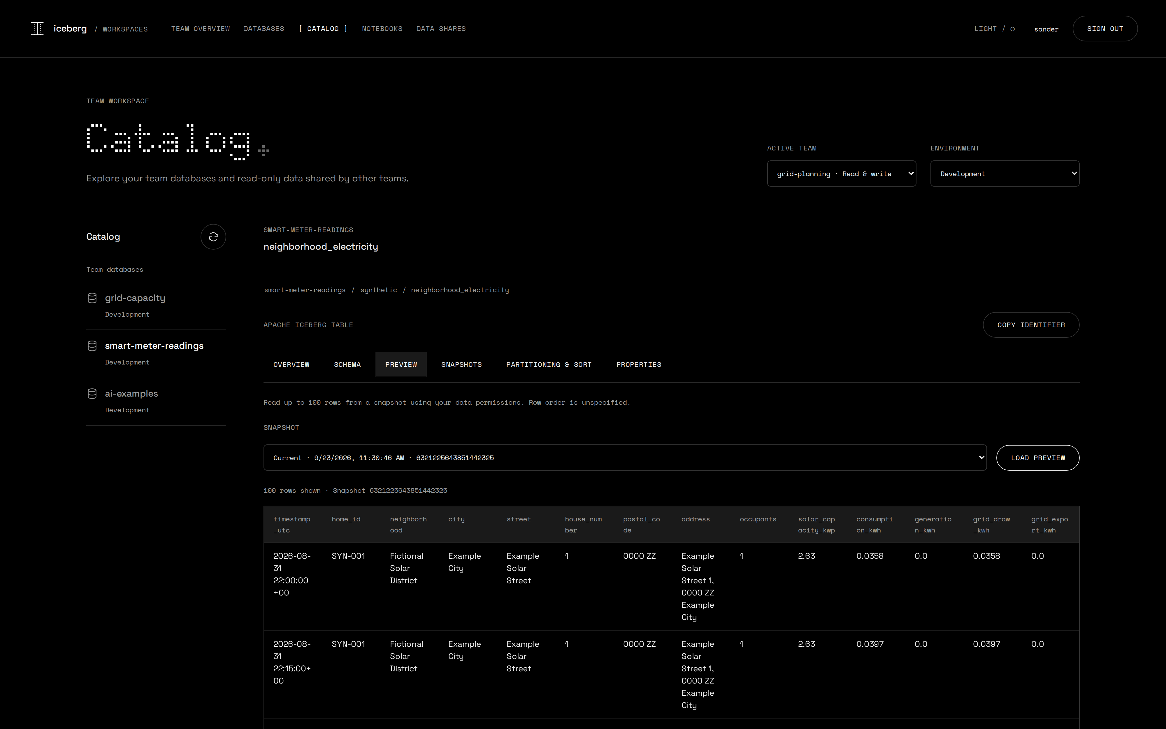 Preview of 100 rows at the selected snapshot