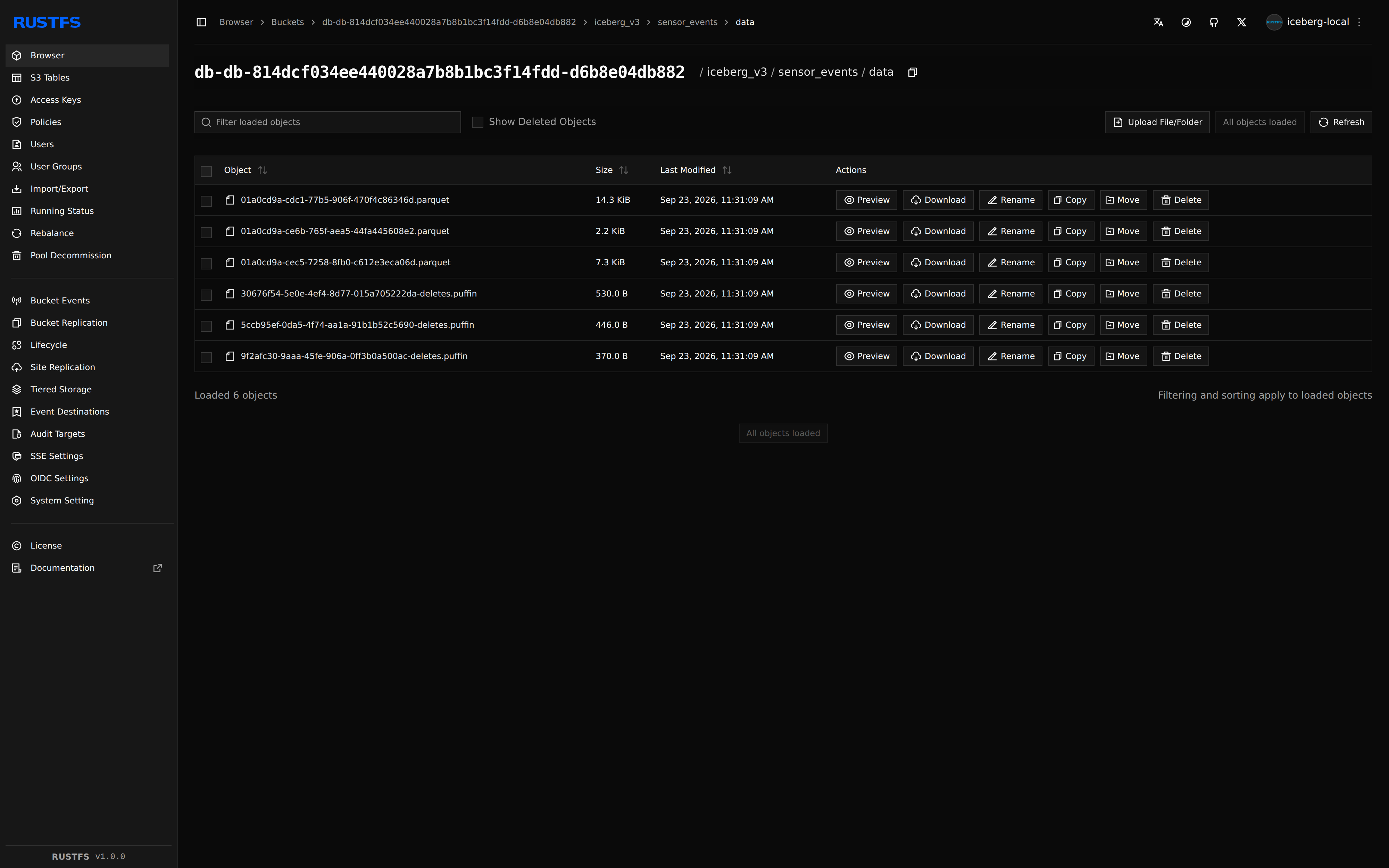 RustFS console listing the Parquet data files and Puffin deletion vectors of the v3 table