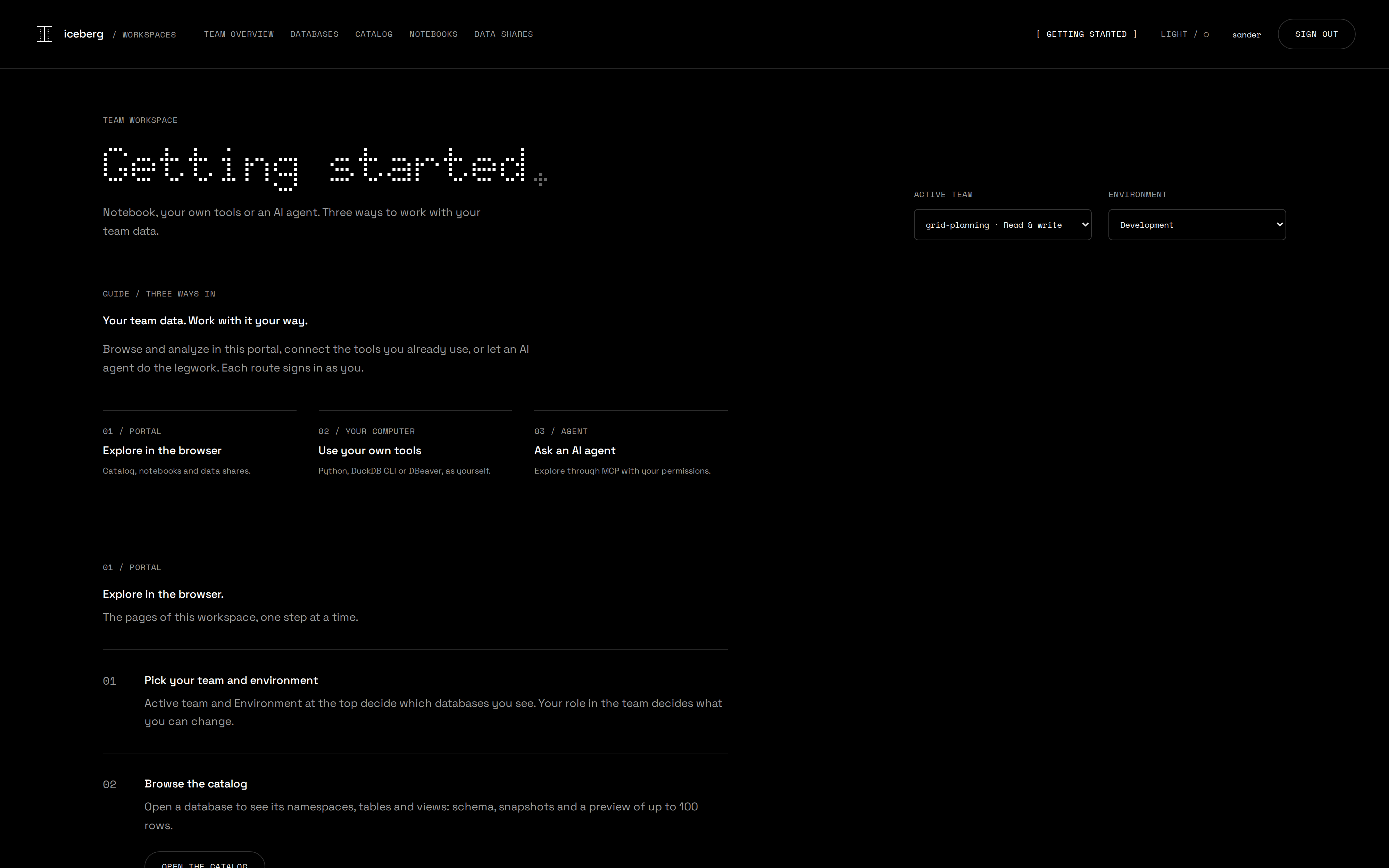 User portal Getting started page with the notebook, your own tools and AI agent tracks